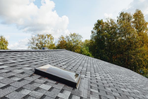 Commercial Metal Roofing