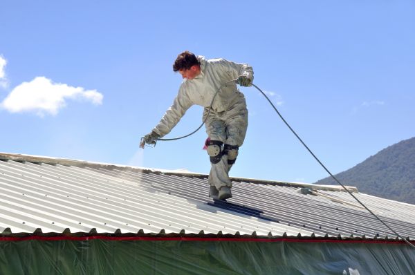 Metal Roofing Painting
